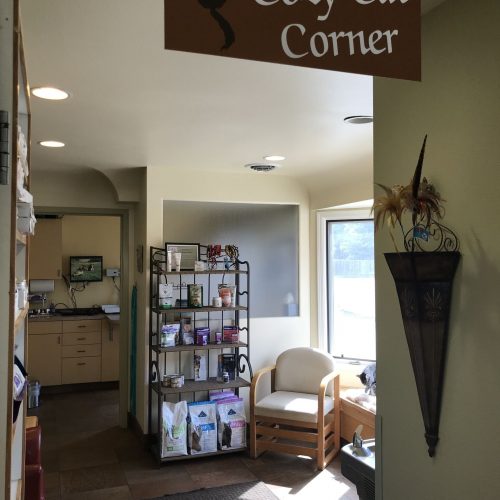 Cozy Cat Corner (2)_preview